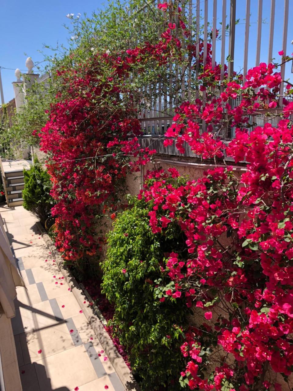 إيركولانو Golden Mile B&B المظهر الخارجي الصورة